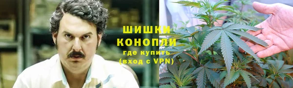 ГАЛЛЮЦИНОГЕННЫЕ ГРИБЫ Богородицк