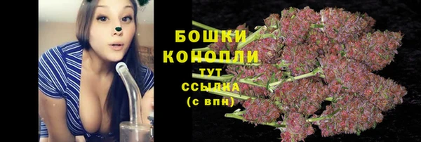 Альфа ПВП Богданович