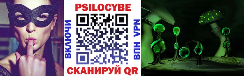 купить   Курильск  Галлюциногенные грибы Magic Shrooms 