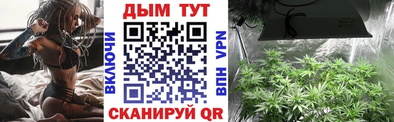 цены наркотик  Курильск  Шишки марихуана гибрид 